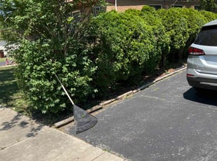 Bush Trimming by William McCoy for Shana W. in Homewood, IL