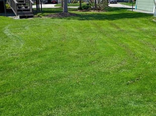 Susan H.'s Grass Cutting service result