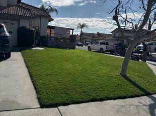 Paul D.'s Lawn Mowing service result