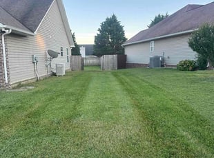 Anthony F.'s Lawn Mowing service result