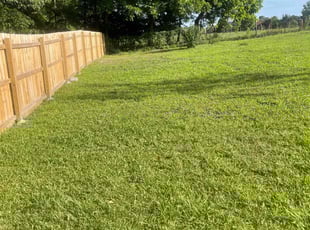 Johnetta L.'s Lawn Service service result