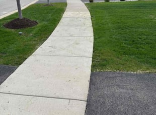Jose G.'s Lawn Care service result