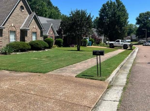 Jason J.'s Grass Cutting service result