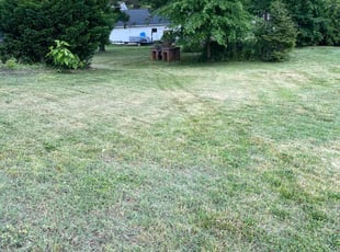 Michael L.'s Grass Cutting service result