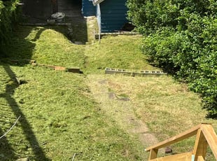 Monica G.'s Lawn Maintenance service result