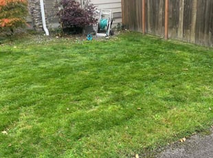 Stephanie G.'s Lawn Mowing Service service result