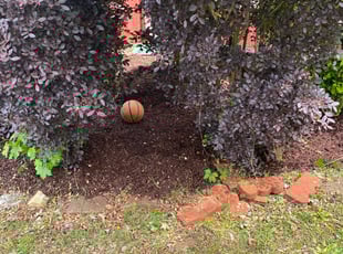 Mulching by Maria Mauro for Aretha I. in Lawrenceville, GA