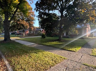 Daniel A.'s Lawn Service service result