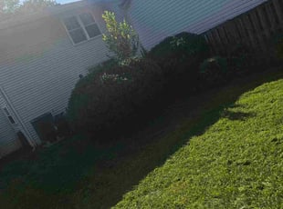 Bush Trimming by Yobani Benitez for William S. in Annapolis, MD