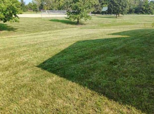 Braxton E.'s Yard Cutting service result