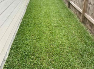 Angela S.'s Grass Cutting service result