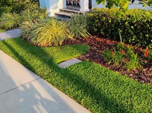 Autumn F.'s Yard Cutting service result
