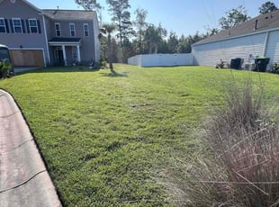 Crystal N.'s Lawn Service service result