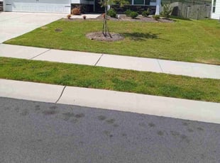 Randy W.'s Lawn Maintenance service result