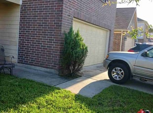 Bush Trimming by Desmond Conley for Marquita W. in Humble, TX