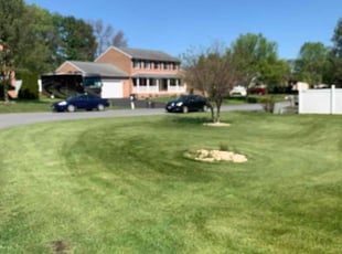 Lydia R.'s Lawn Maintenance service result