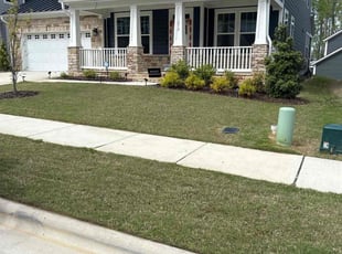 Louis P.'s Lawn Service service result