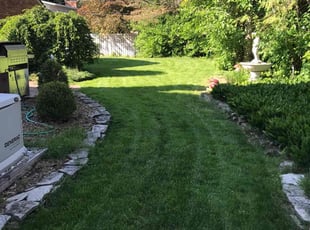 Deborah D.'s Lawn Maintenance service result