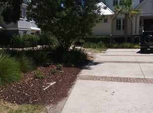 Bush Trimming by Brandon Sanders for Scotty B. in Charleston, SC