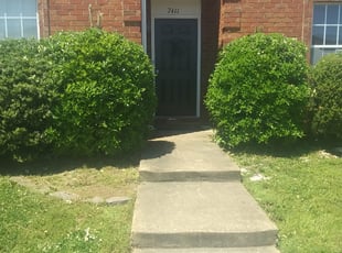 Amanda B.'s Bush Trimming service result