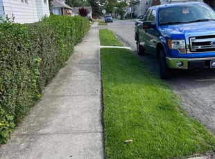 Karyn B.'s Yard Cutting service result