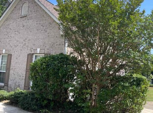 Tony S.'s Bush Trimming service result