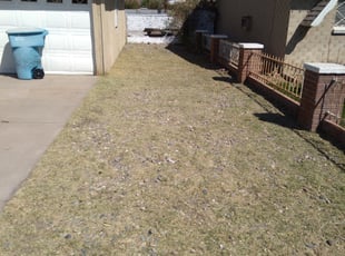 Cleanups by Aaron Flores for Emilia B. in Phoenix, AZ