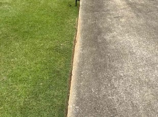 David T.'s Lawn Service service result