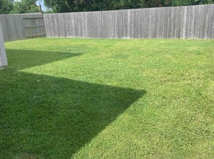 India G.'s Lawn Maintenance service result