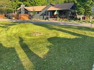 MaryBeth M.'s Lawn Service service result