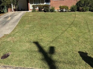 Daniel M.'s Lawn Maintenance service result