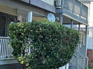 Bush Trimming by James Mozelle for Janeih B. in Norfolk, VA