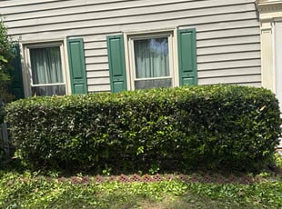 Bush Trimming by Larry Gordon for Frances R. in Virginia Beach, VA
