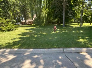 Paul E.'s Grass Cutting service result