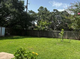 Rhonda M.'s Yard Cutting service result