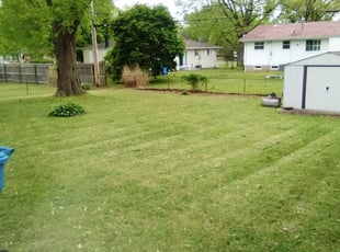 Cleanups by Jonathon Foster for SAKINA H. in Florissant, MO
