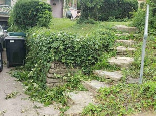 Bush Trimming by Kevin Philips for Ontrai D. in Cincinnati, OH