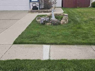 Felancie Z.'s Lawn Service service result
