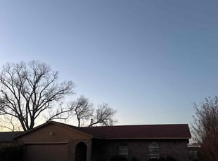 Aline A.'s Lawn Care service result