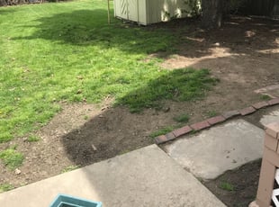 Leaf Removal by Scott Basinger for Sheila R. in Cleveland, OH