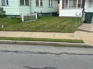 Cara M.'s Lawn Service service result