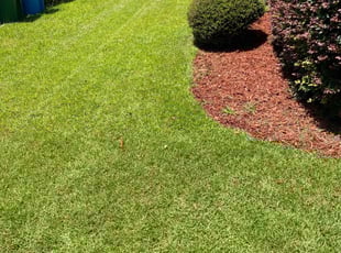Susan T.'s Lawn Care service result