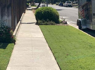 teresa w.'s Bush Trimming service result