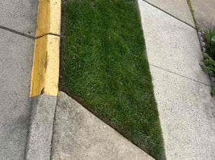 Donna T.'s Lawn Care service result