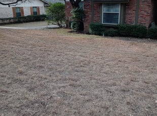 Cleanups by Dartonius Tucker for Jane S. in Arlington, TX
