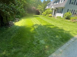 Sherry H.'s Lawn Service service result