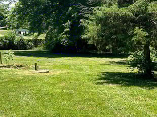 Bruce C.'s Grass Cutting service result