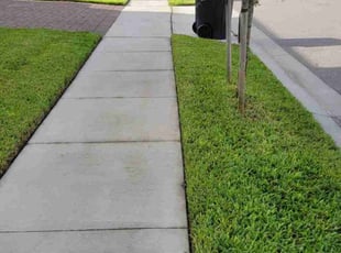 Annette F.'s Lawn Mowing service result