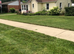 Glenn H.'s Lawn Mowing Service service result