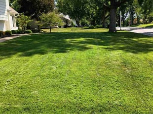 Katina B.'s Lawn Mowing service result